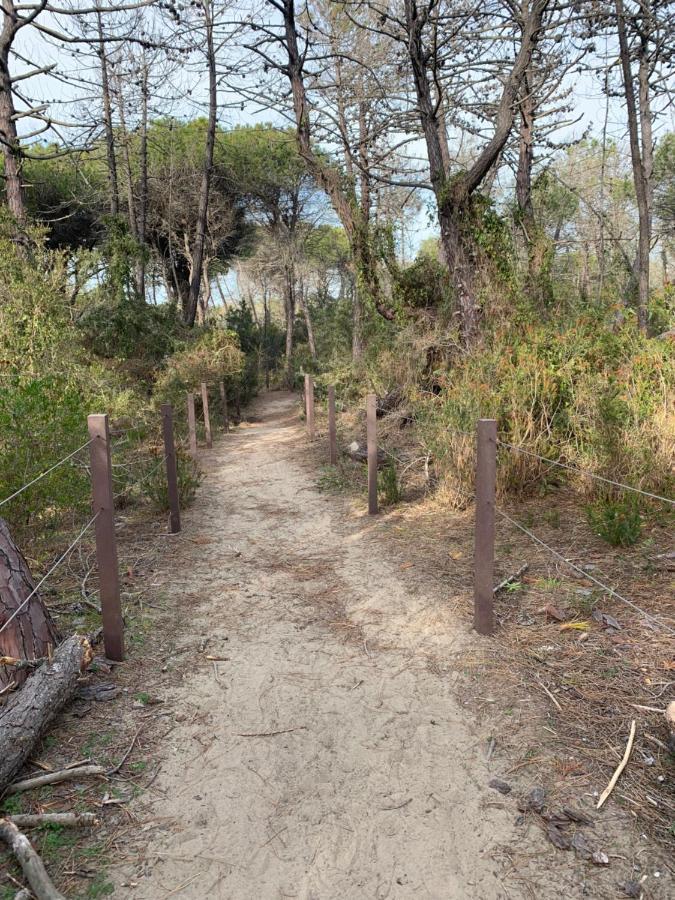 הוילה אלברזה Residenza L'Ulivo מראה חיצוני תמונה